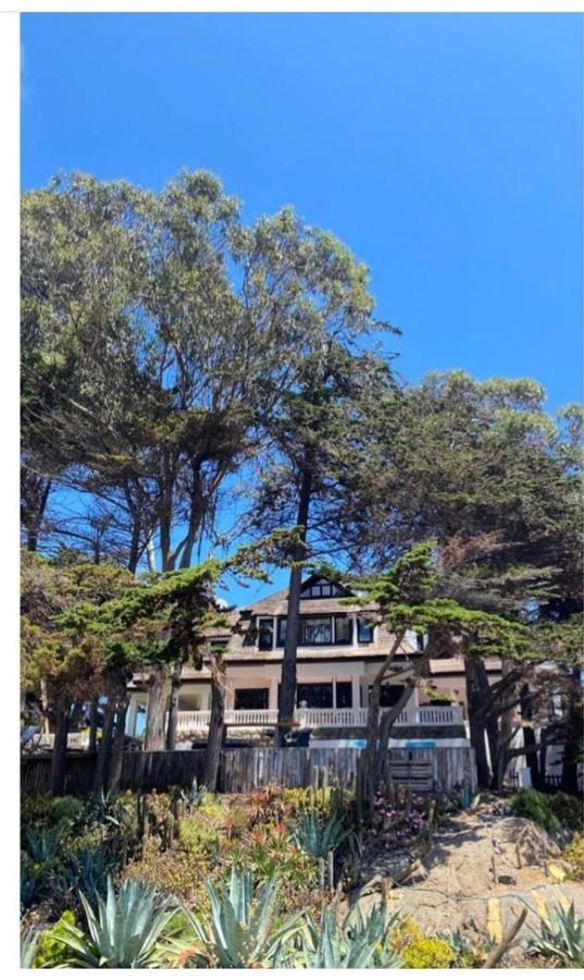 Casa Wilson Βίλα Zapallar Εξωτερικό φωτογραφία
