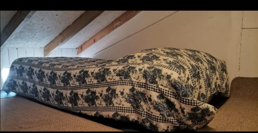 Casa Wilson Βίλα Zapallar Εξωτερικό φωτογραφία